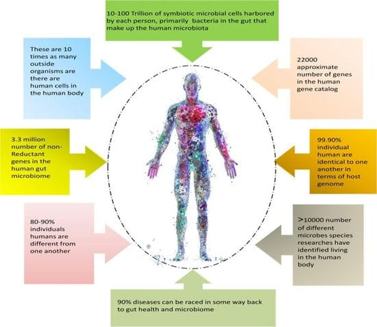 Cross-Talk: Microbiome & Immune System Balance